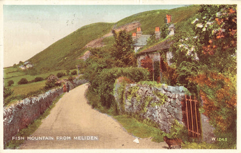 Early 1950s postcard of Fish Mountain from Meliden, in Denbighshire, nr Prestatyn