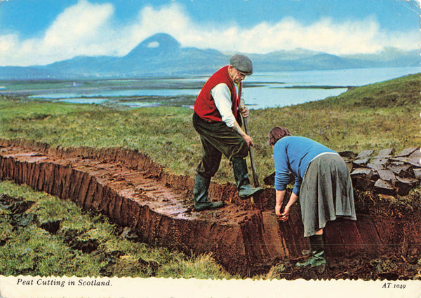 1960s postcard showing people peat cutting in Scotland