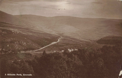 Old real photo postcard titled A Hillside Path, Glenesk, in Angus, Scotland