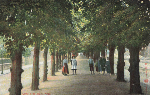 Early 1900s postcard of Lime Tree Walk, Alloa, Scotland