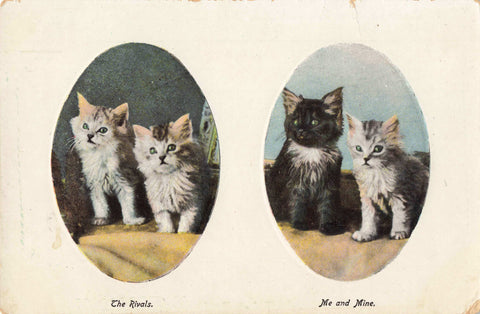 EMBOSSED POSTCARD OF CATS, EARLY 1900s 