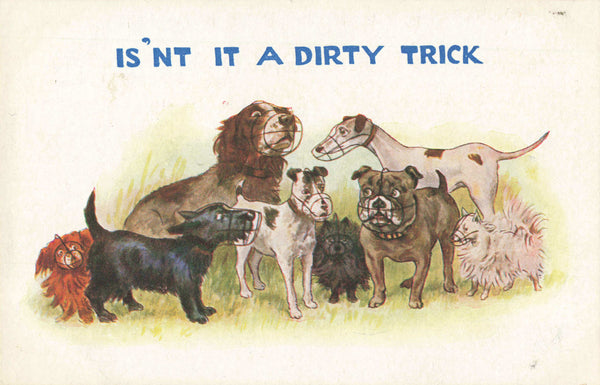 Old postcard of dogs wearing muzzles, comic humour