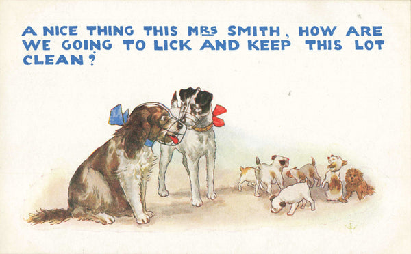 Old postcard of dogs with muzzles and puppies