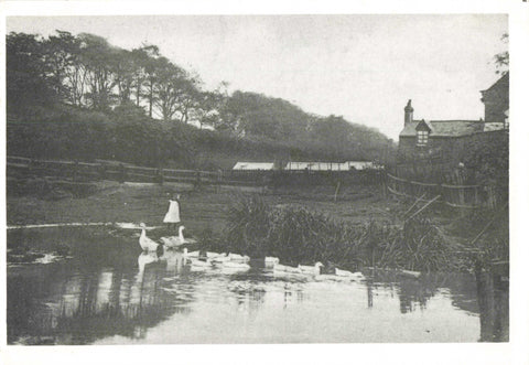 REPRODUCTION POSTCARD of Pool Hollow, Runcorn in Cheshire