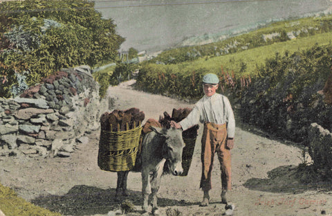 Old postcard titled Irish Turf Carrier - boy with donkey, posted 1904