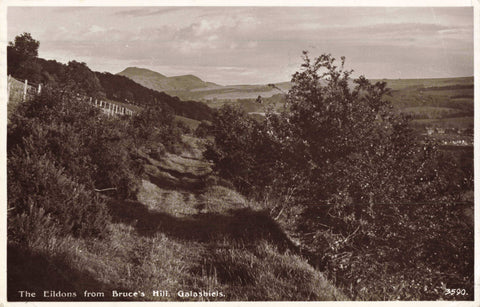 1950s real photo postcard of The Eildons from Bruce's Hill, Galashiels