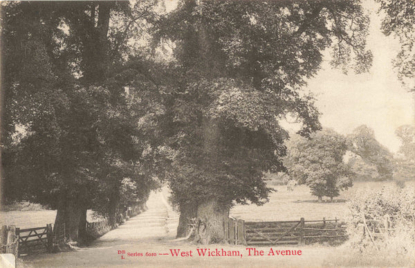 Old postcard of The Avenue, West Wickham in Kent, nr Bromley