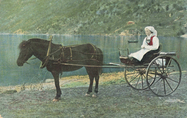 Old  postcard of lady in horse and cart, Norway