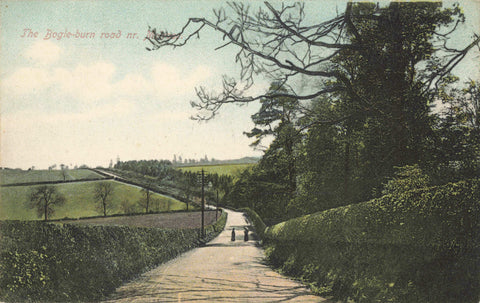 Old postcard of The Boglie-Burn Road, Nr Melrose in Scotland