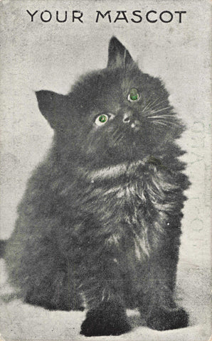 Your Mascot - 1913 cat vintage postcard