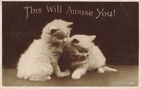 1920s real photo postcard showing two cats, titled This Will Amuse You!