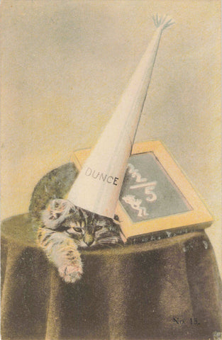 Old postcard showing a cat with a dunce hat