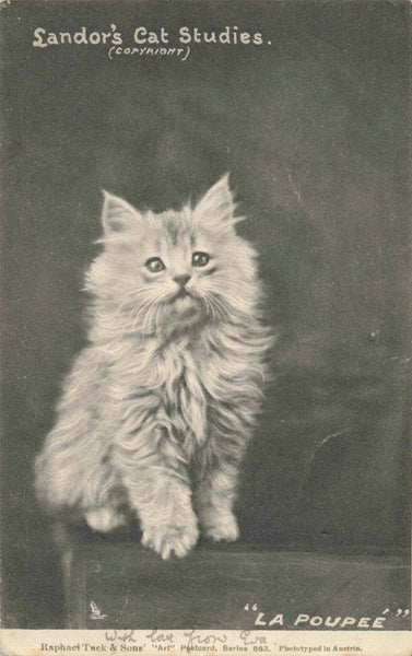 Old postcard showing a cat titled "La Poupee" - translates to The Doll