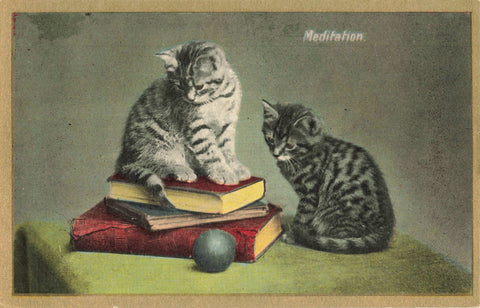 Old postcard showing two cats, titled Meditation