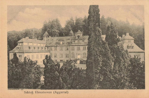SCHLOSS EHRESHOVEN (Aggertal) OLD POSTCARD, GERMANY
