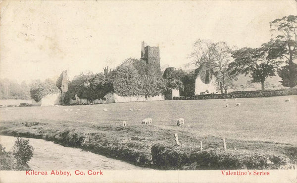 1904 postcard of Kilcrea Abbey, Co Cork, Ireland