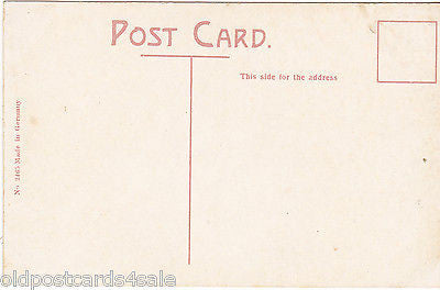 SUNAPEE VILLAGE, N.H. - OLD POSTCARD (ref 4803/12)